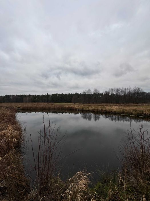 Koparka – wykop stawu lub oczka wodnego | Lokalnie