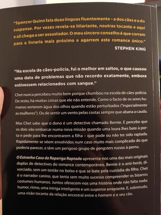 O estranho caso da Rapariga Raptada