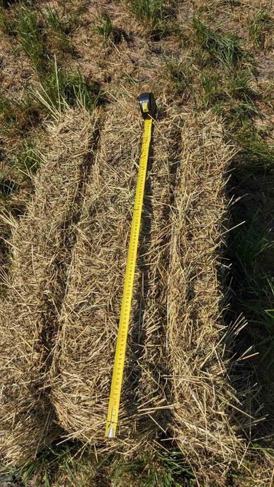 Сіно в тюках 90*60*35см