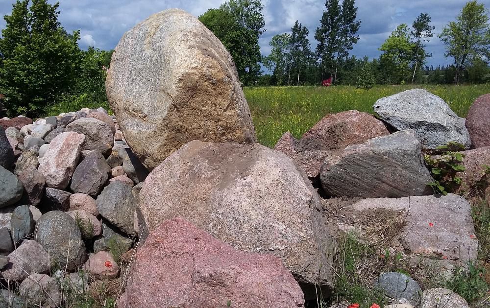 ziemia ogrodowa urodzajna do ogrodu pod warzywa kwiaty trawnik