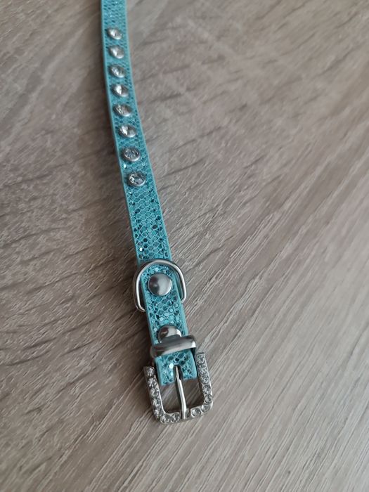 Новый набор XS-S шлейка ошейник для маленьких собак котов котят щенят