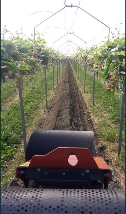 Nawodnienia kompleksowe Wykopy liniowe koparką łańcuchową melioracje.