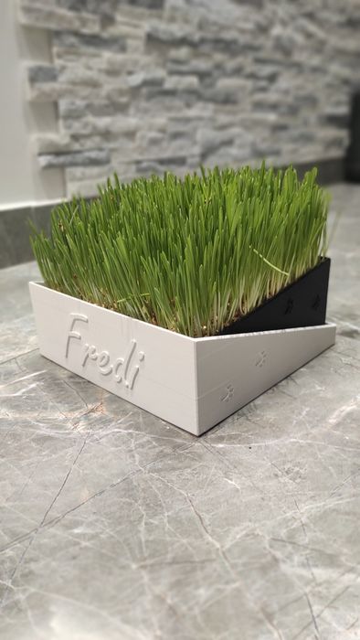 Personalizowany pojemnik/doniczka na trawę dla Twojego kota - druk 3D