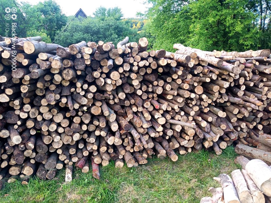 Sprzedam drewno opałowe JESION, KLON , BUK, świerk