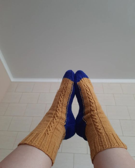 Шкарпетки>мода і стиль>шкарпетки/панчохи