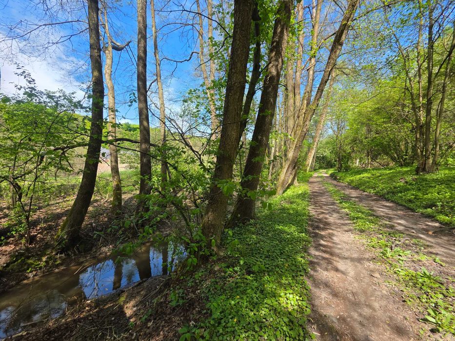 Budowlana działka w lesie 6Arowa/Czułów gm.Liszki/Prąd Woda Światłowód - Widok 4