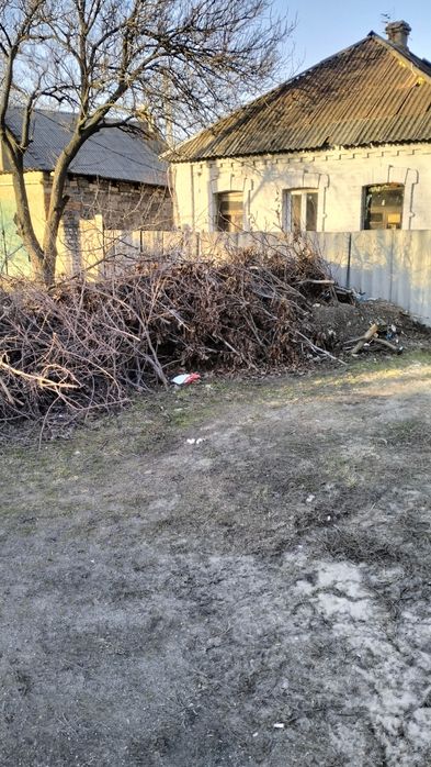 Отдам даром ветки