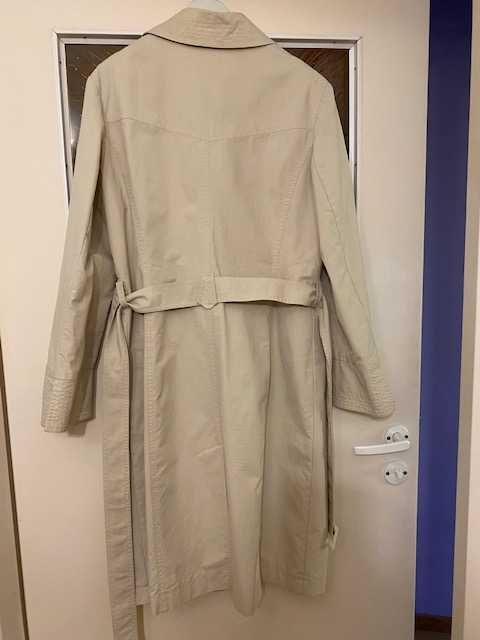 Prochowiec na wiosnę.