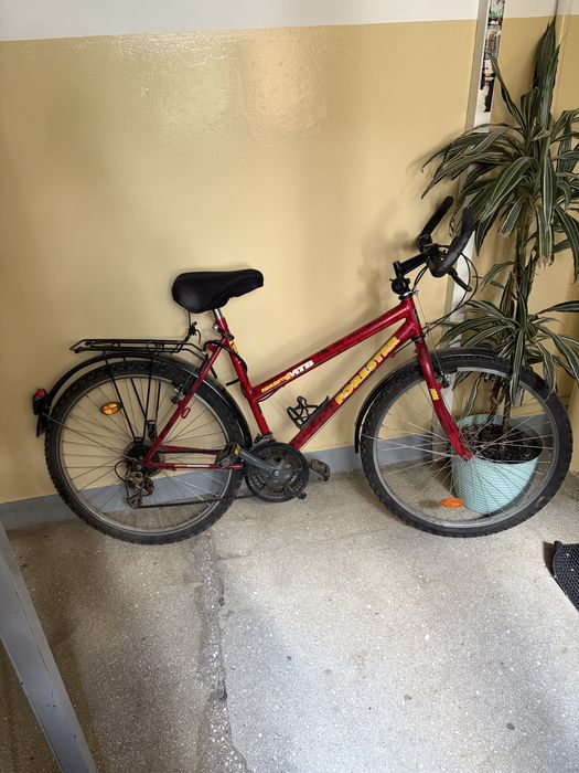 Rower Forester MTB