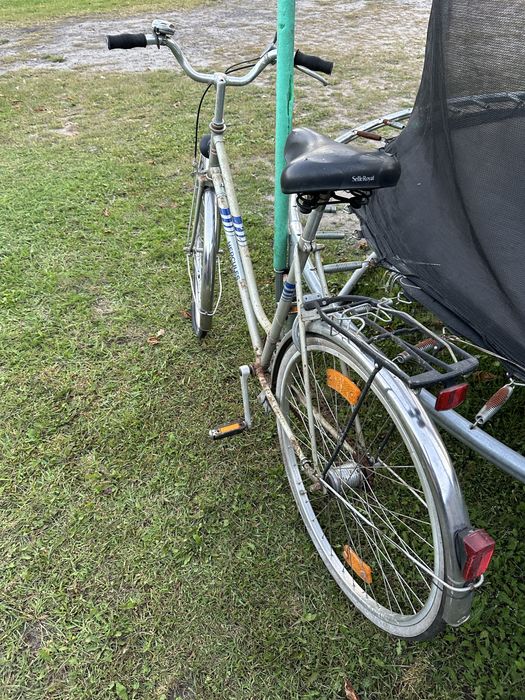 Rower Hercules damka