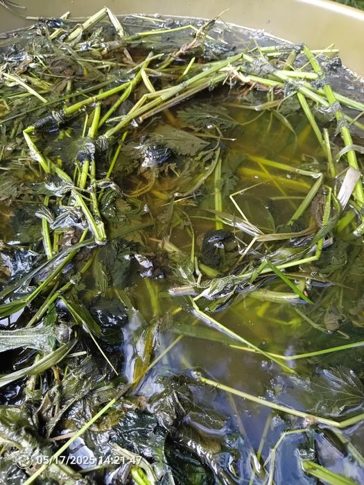 Koncentrat pokrzywowy nawóz oprysk 1 l