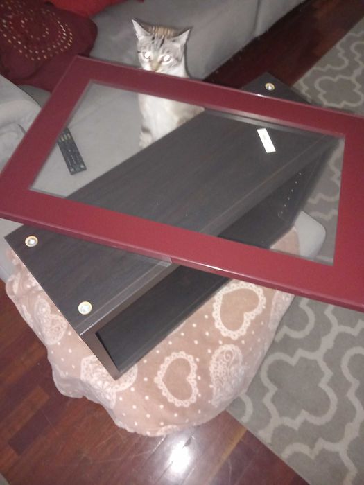 Estante com porta ikea