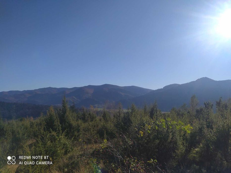 Земельна ділянка