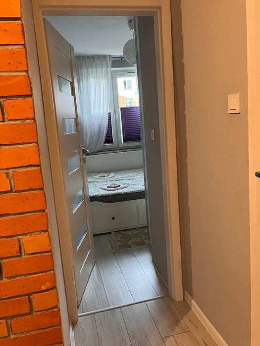 Pokój do wynajecia