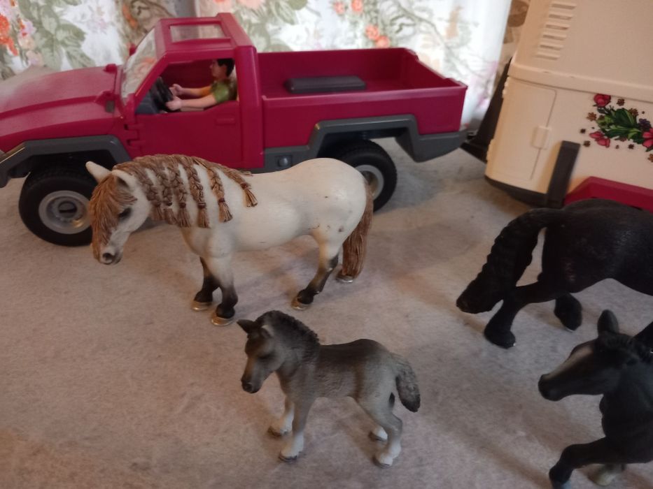 Conjunto de figuras schleich