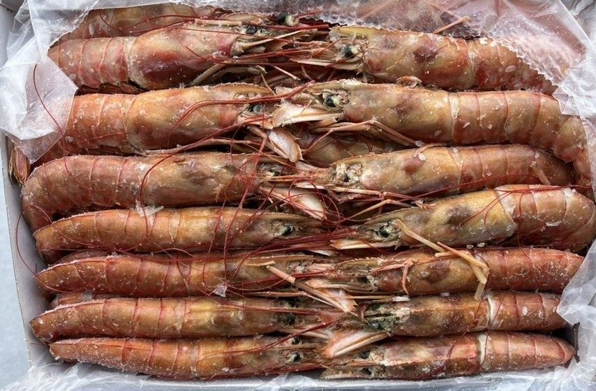 Креветка. Кольца кальмара. МОРСКОЙ КОКТЕЙЛЬ. Лангустины.МИДИИ. КАЛЬМАР