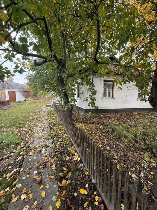 Продаж будинку | Дмитрушки