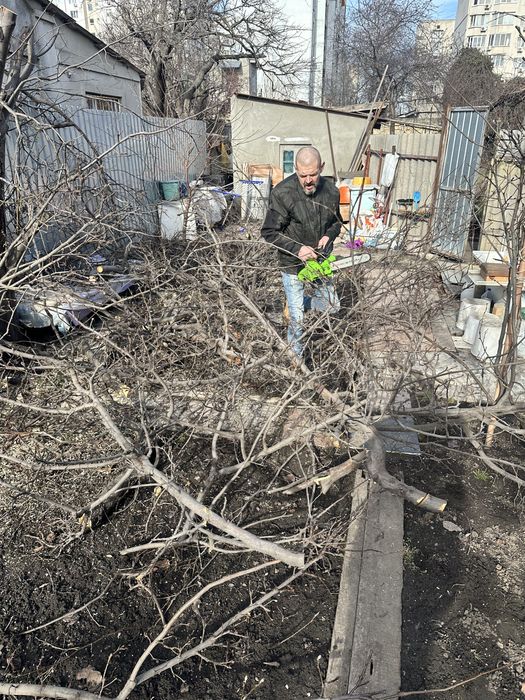 Уборка территории и вывоз мусора и хлама