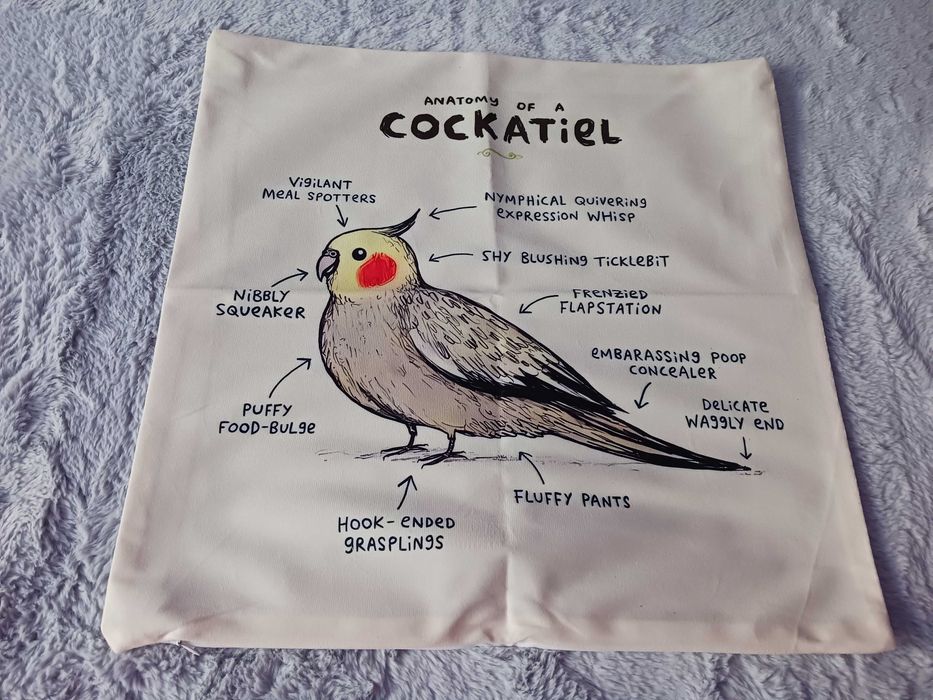 Ozdobna poszewka na poduszkę - papuga nimfa