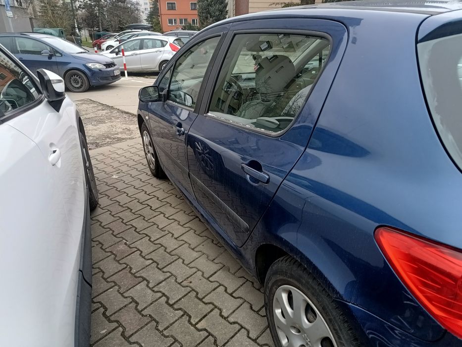 Peugeot 307 1.6 16 v