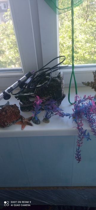 Аквариум большой