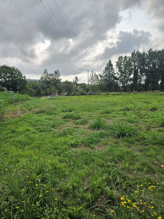 Terreno agrícola