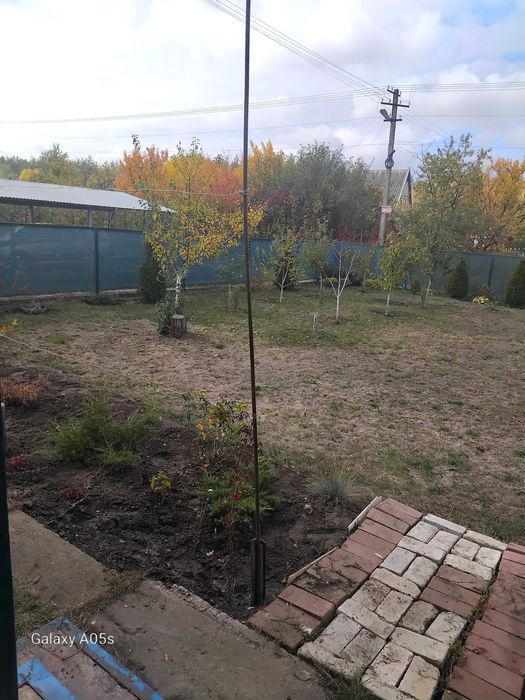 Дача возле леса , Самарь Решкут.