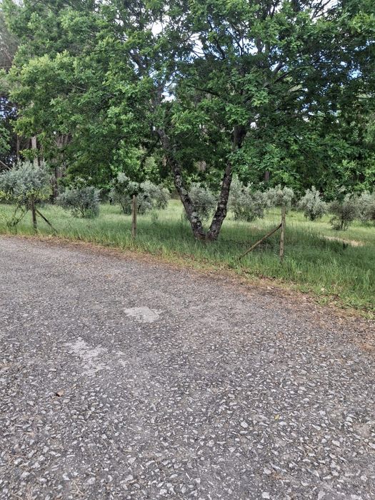 Terrenos para venda