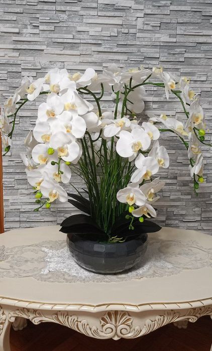 Латексна орхідея преміум якості