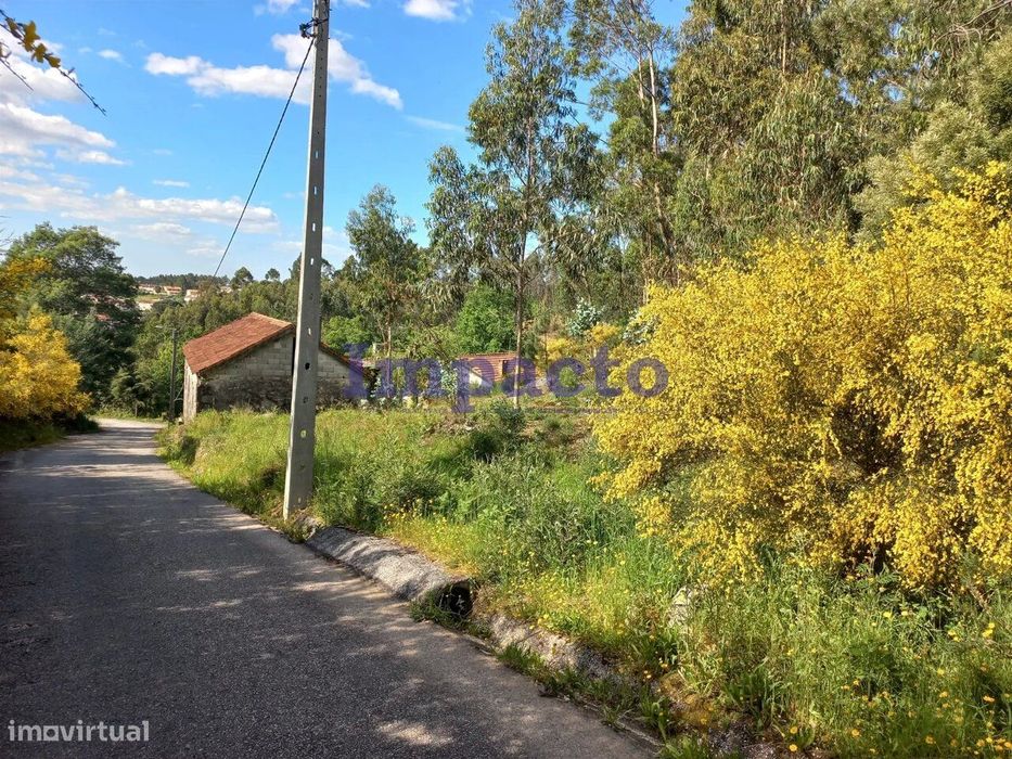 Terreno Rústico, Pinhal