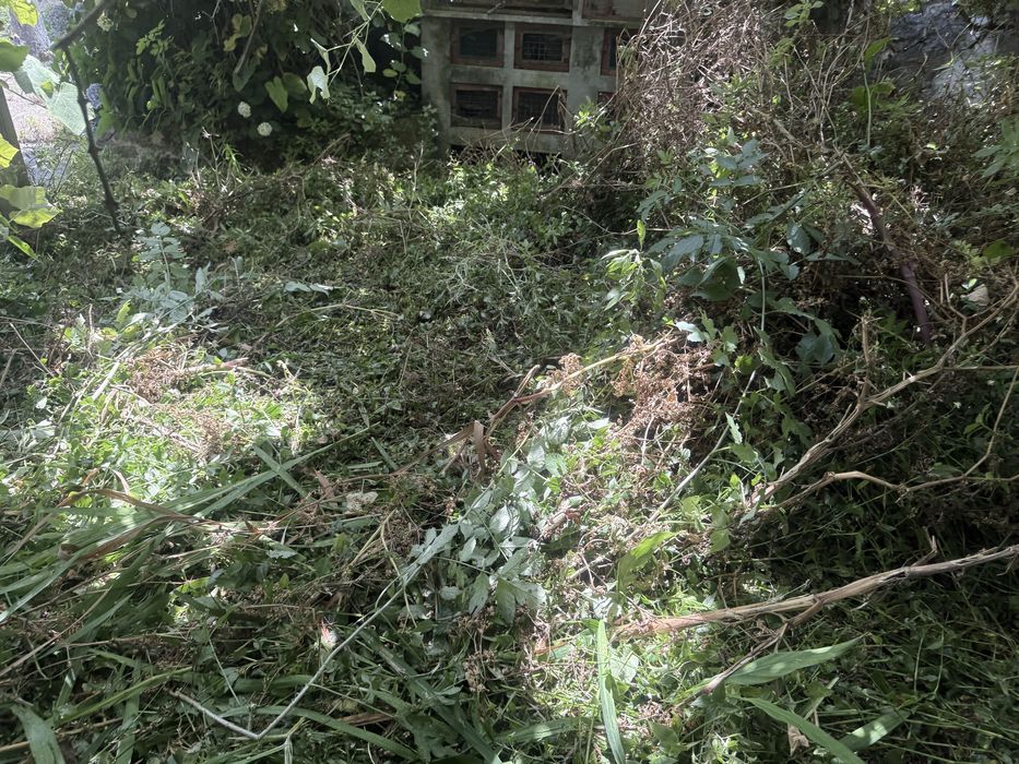 Fazemos limpeza de quintas ou terrenos com trator