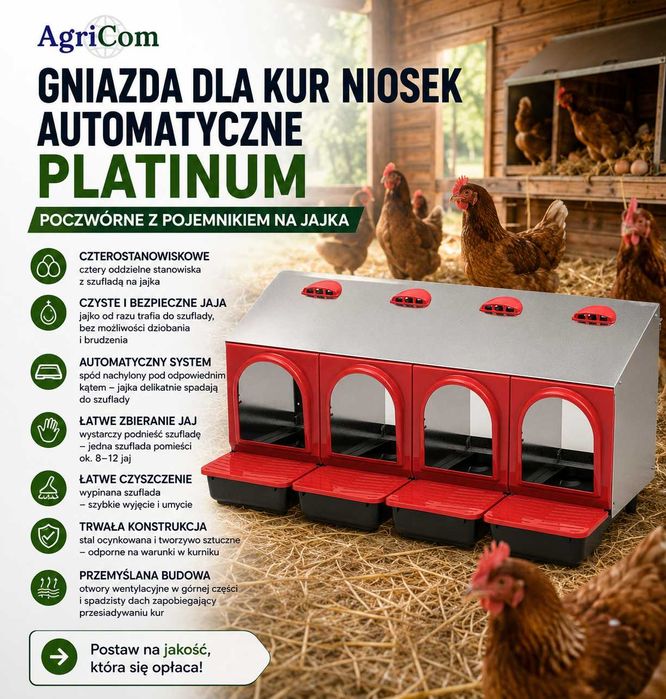 Gniazdo/Gniazda/grzęda dla kur, automatyczne poczwórne