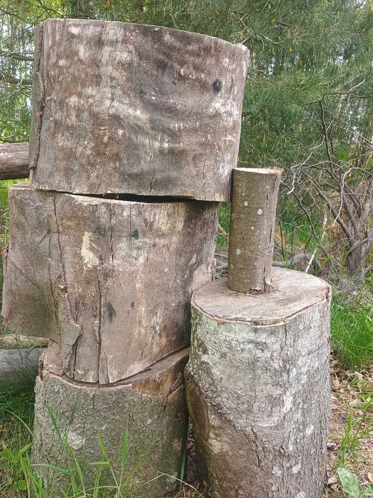 Pieńki do ogrodu na taras balkon