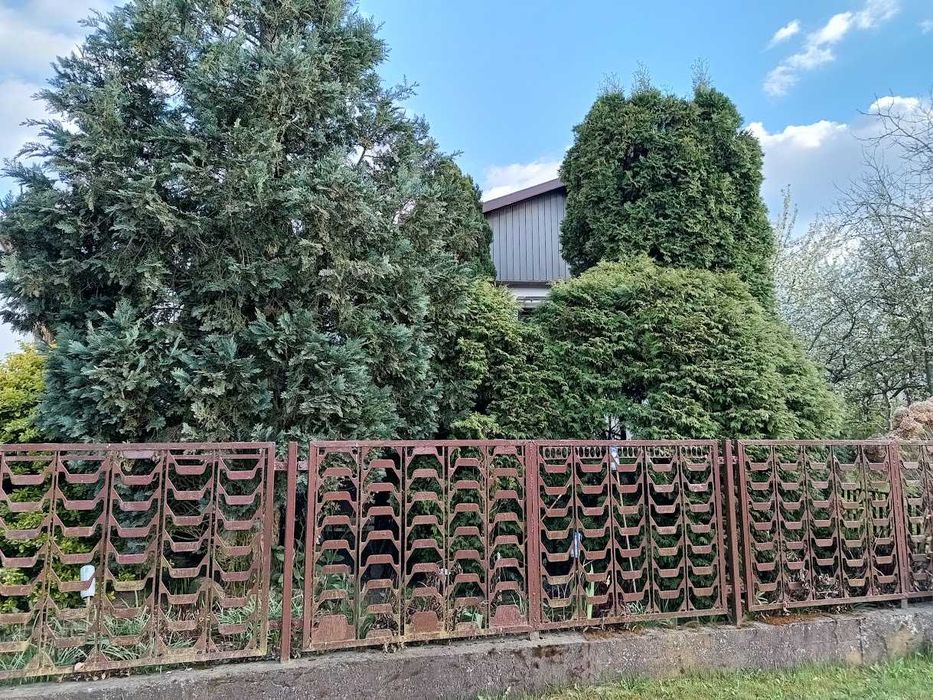 Sprzedam działkę ROD na Zaciszu 2 w Kielcach