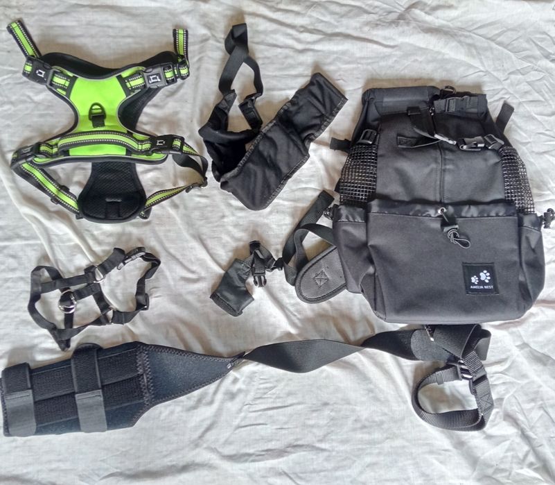 Acessórios pra cães