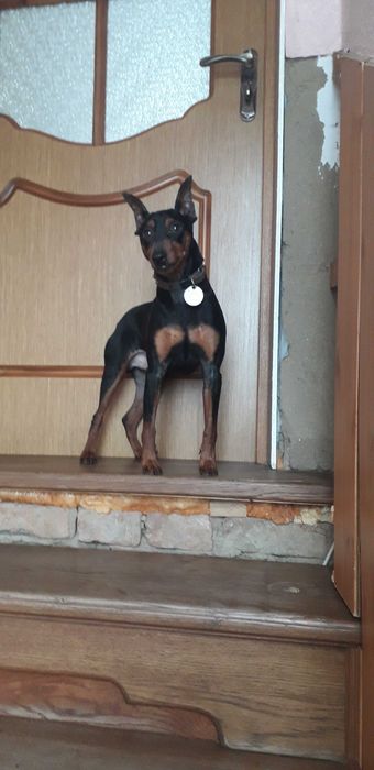 Хлопчик чекає на подрушку