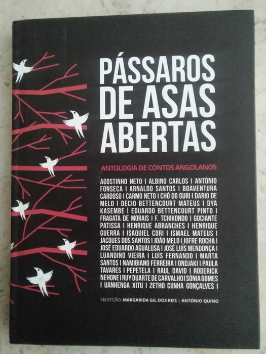 Pássaros de Asas Abertas - – Antologia de Contos Angolanos