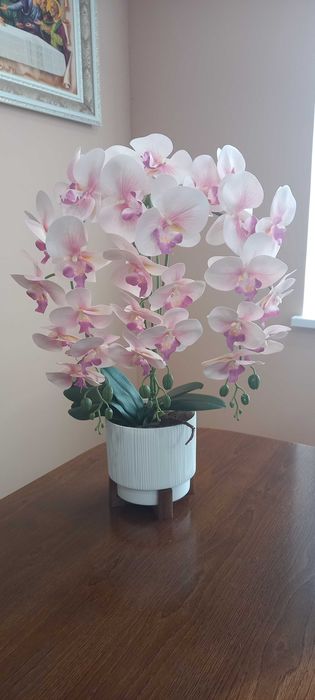 Латексні орхідеї в горшочках