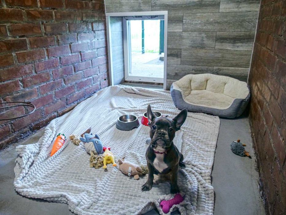 Школа Дресирування виховання Собак Харків з проживанням Кінолог