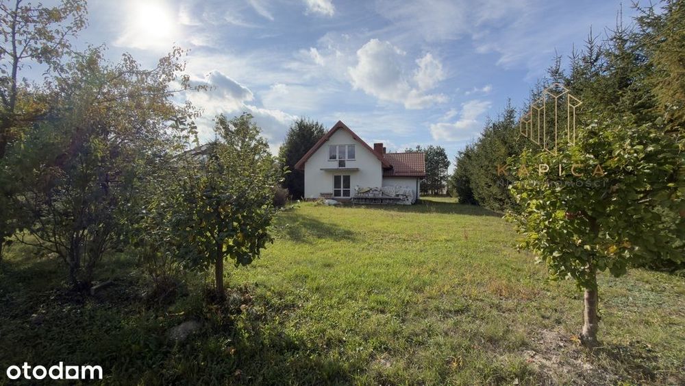 Dom – Prawiedniki, Wygon Pierwszy - Widok 3
