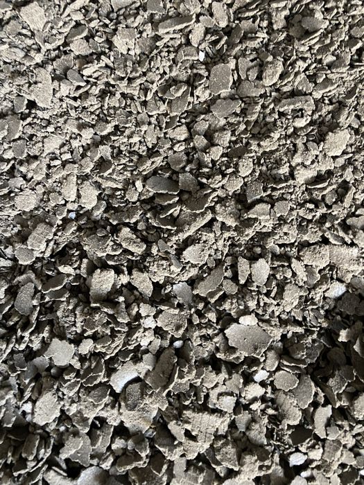 Макух соняшниковий