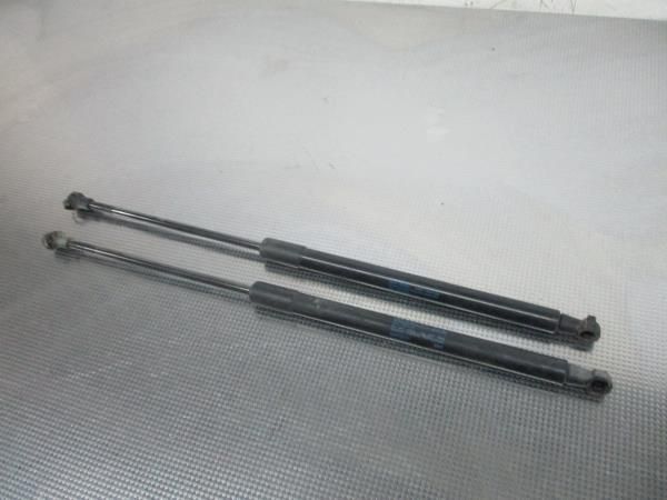 Amortecedor da mala AUDI A3 (8P1)