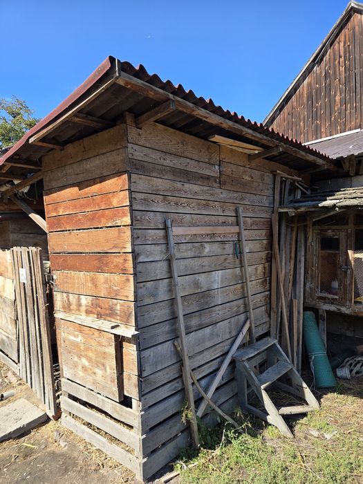 Sprzedam króliki mięszańce i klatki sprzedaje z powodu likwidacji hodowli