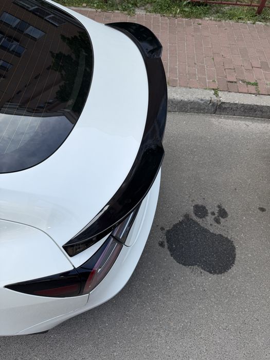 Спойлер tesla model 3 (2017-2023) large
