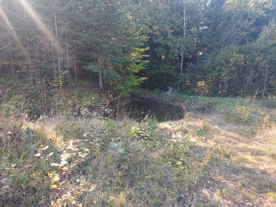 Здаєтся котедж  NORTH HILL