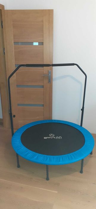 Trampolina Domowa dla Dzieci SPARTAN 122 cm