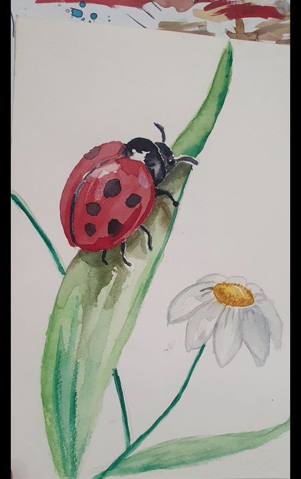 Cursos de pintura e desenho