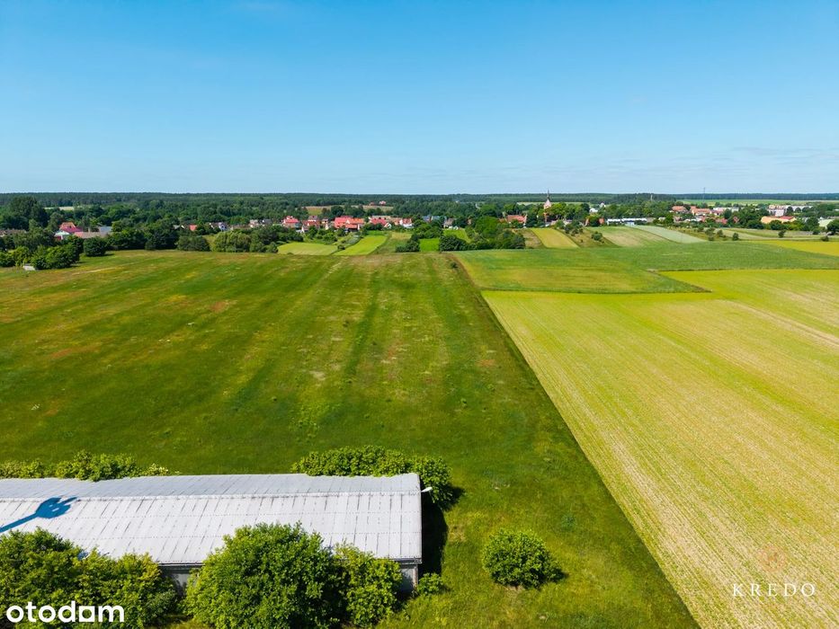 Działka budowlana 1,0036 ha | WZ | Duży potencjał inwest. | Koczała