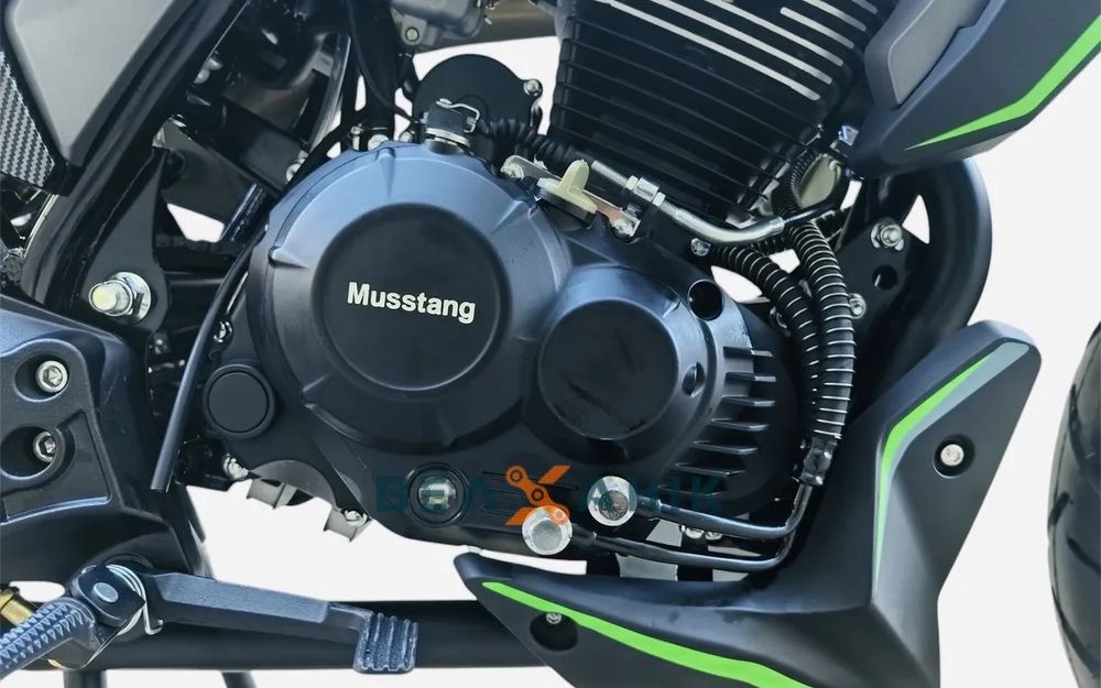 Мотоцикл Mustang Region ST200 з підігрівом керма