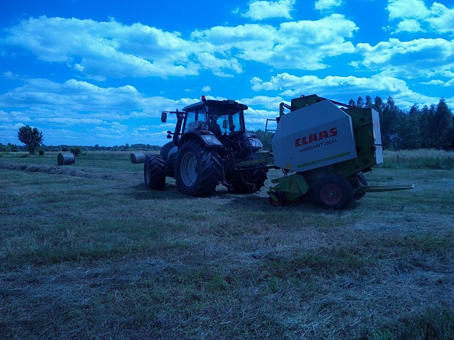 Siano suche belka 120 , dowóz do klienta